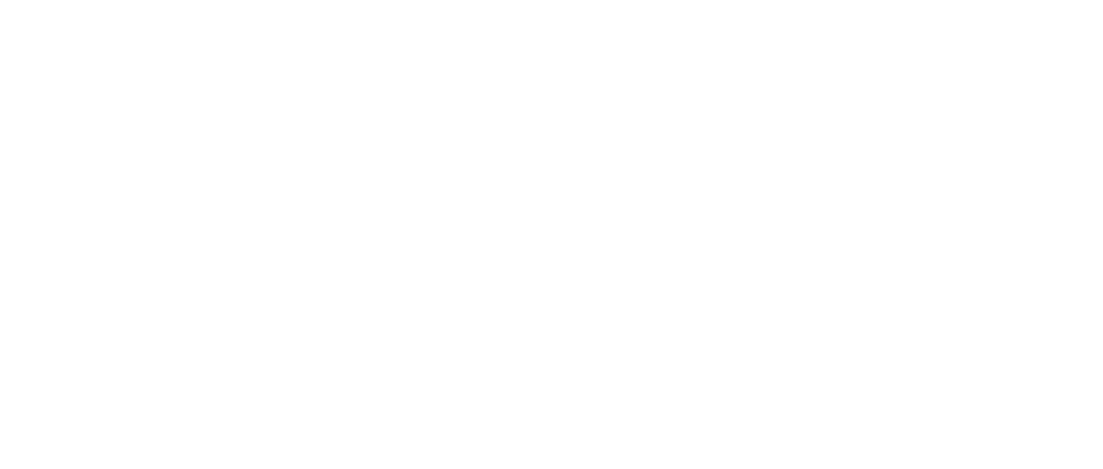 Nile-Air-Logo